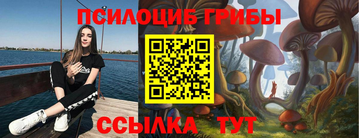 что такое наркотик  Галлюциногенные грибы Psilocybe  Зима  Вход с VPN  Псилоцибиновые грибы ЛСД 